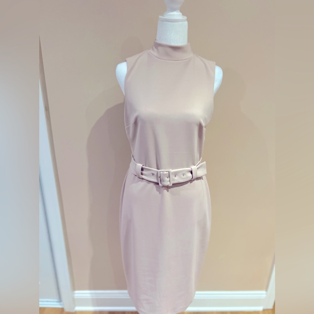 Express Pink Blush Turtleneck Dress Size M